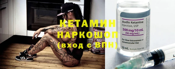 шишки Медвежьегорск