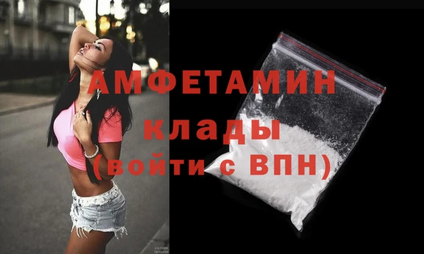шишки Медвежьегорск