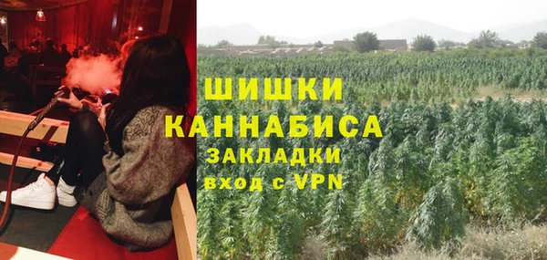 spice Медногорск