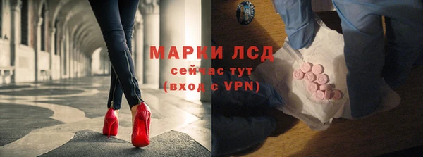 шишки Медвежьегорск