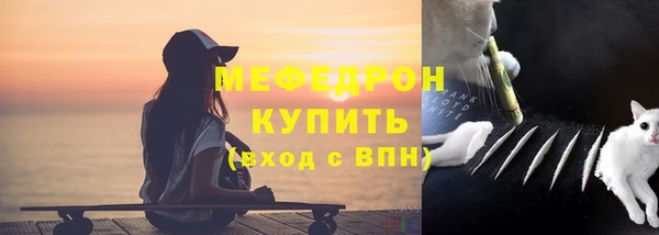 шишки Медвежьегорск