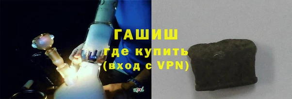 шишки Медвежьегорск