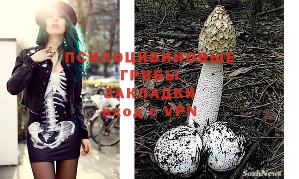 spice Медногорск
