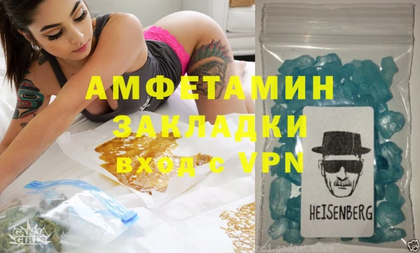 шишки Медвежьегорск