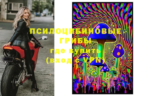 шишки Медвежьегорск