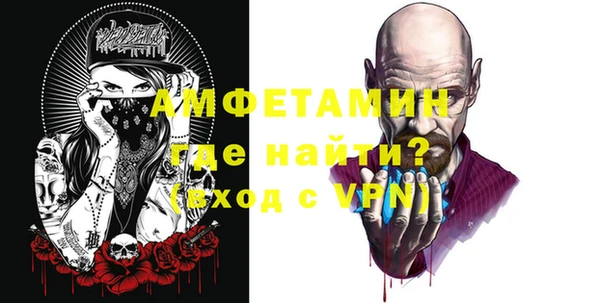 шишки Медвежьегорск