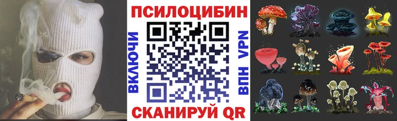 Псилоцибиновые грибы GOLDEN TEACHER купить наркотик hydra ссылка Пойковский